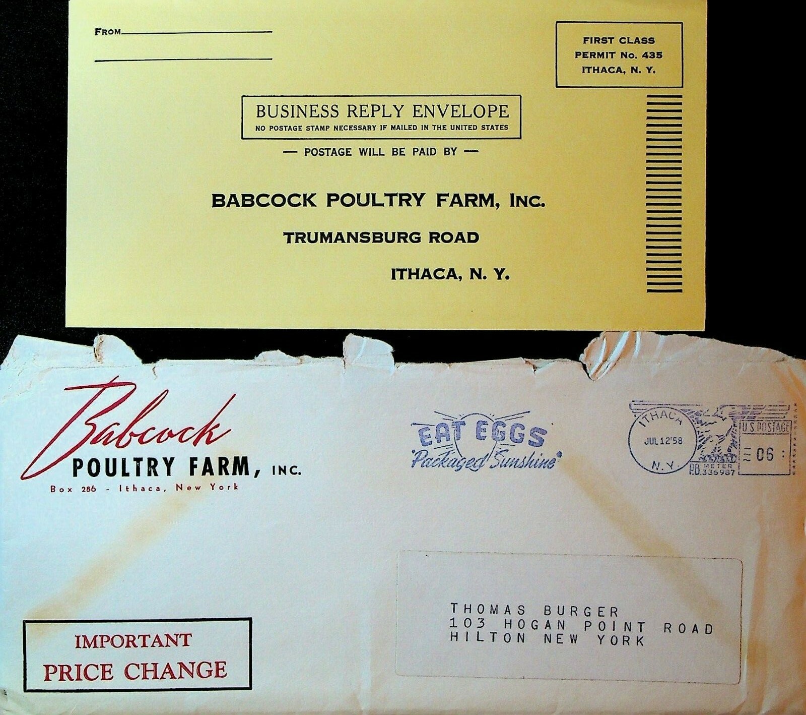 Babcock Poultry Farm 1958 Ithaca NY Ad Brochures Hens Babcock Bessies Lotties