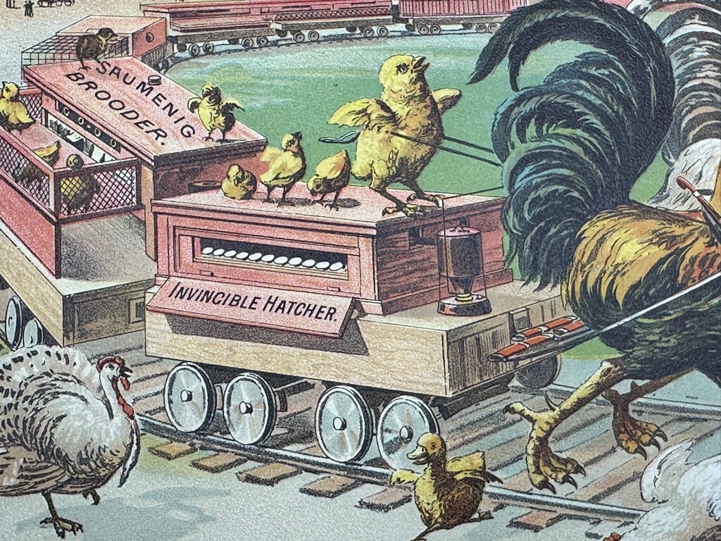 Rare 1893 BUCKEYE INCUBATOR CO Chicken CHICKS Farm Advertise BOOK Springfield OH