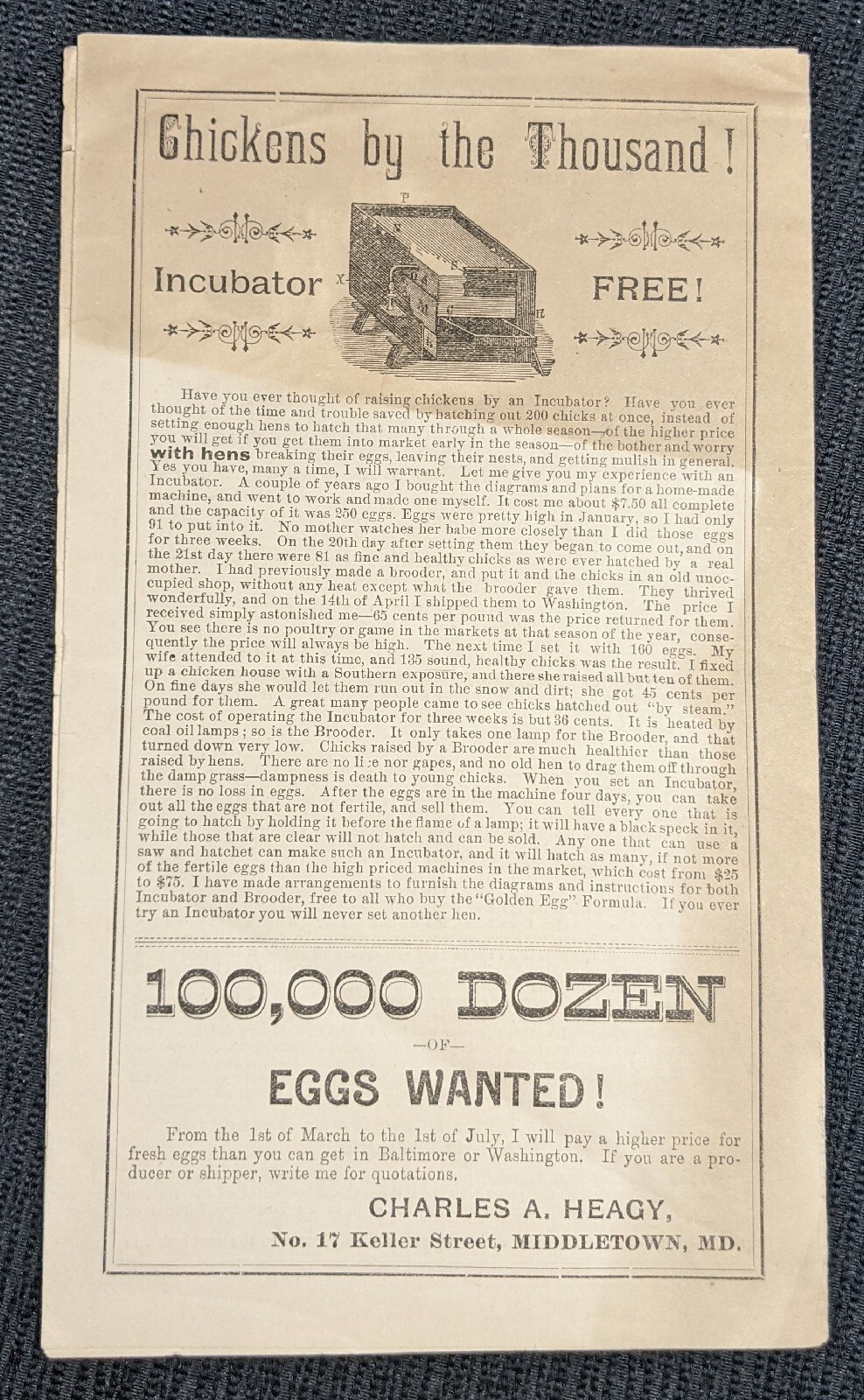 1890 Golden Egg Formula Newsletter Poultry Circular Eggs Agriculture Ad Brochure