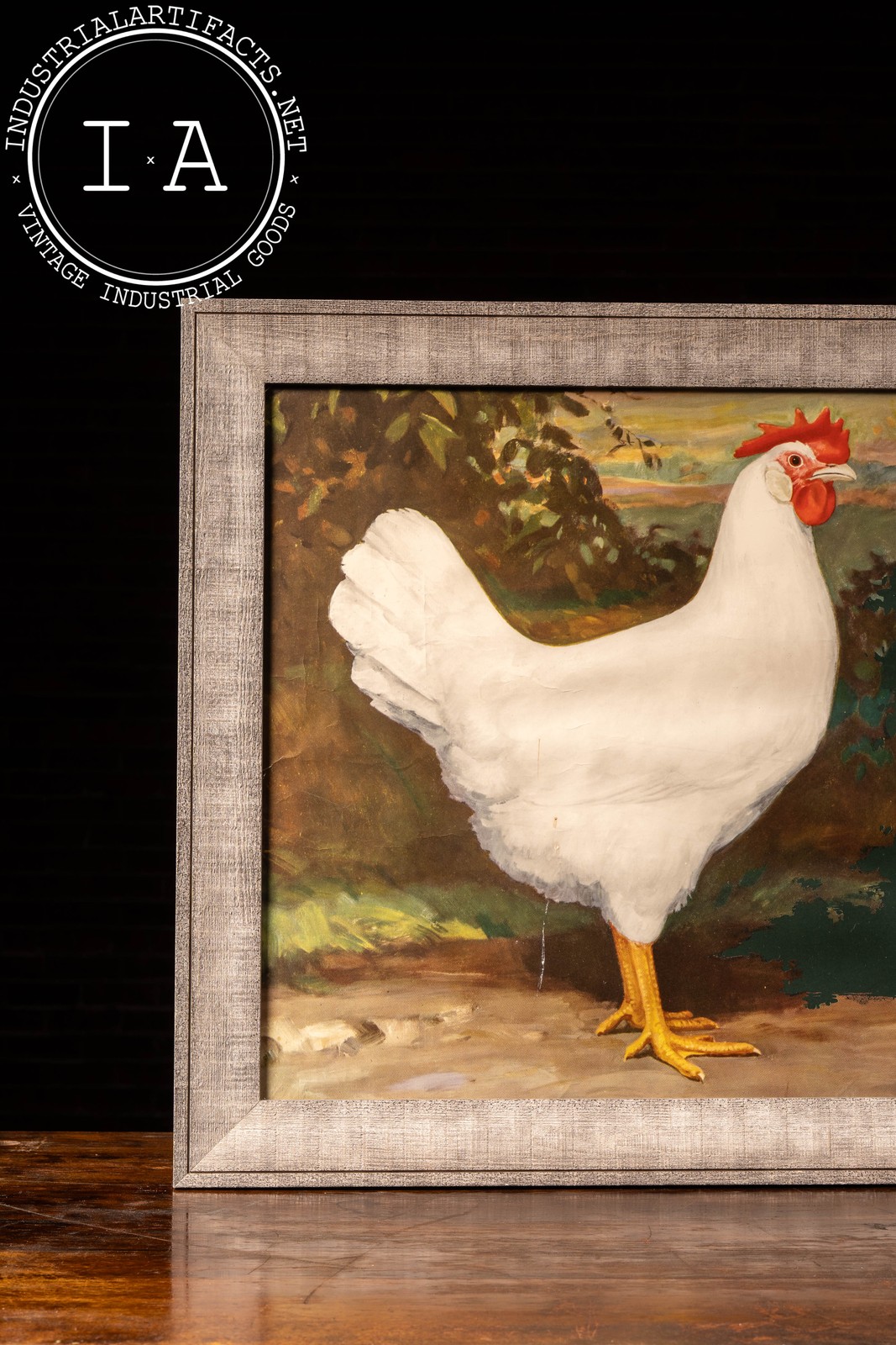 Vintage DeKalb Chix Framed Agriculture Poster