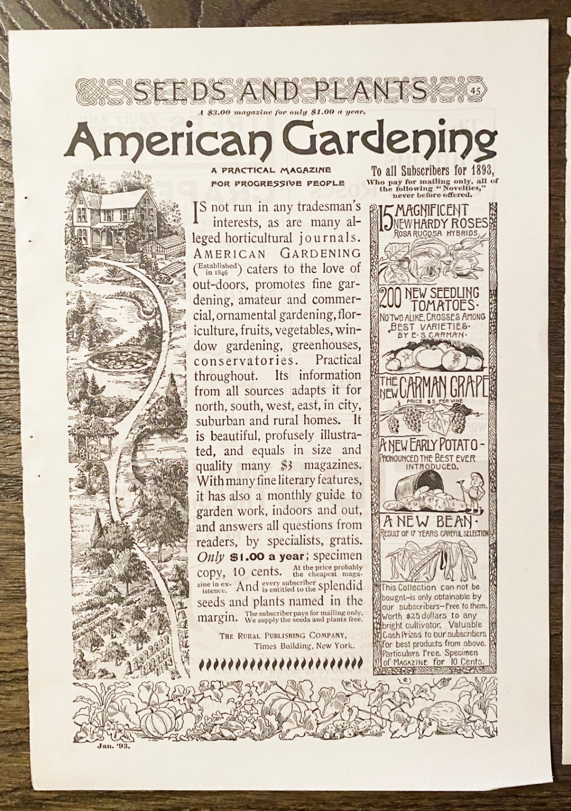AMERICAN GARDENING Rural Publishing Co Magazine Subscription Offer1893 Print Ads