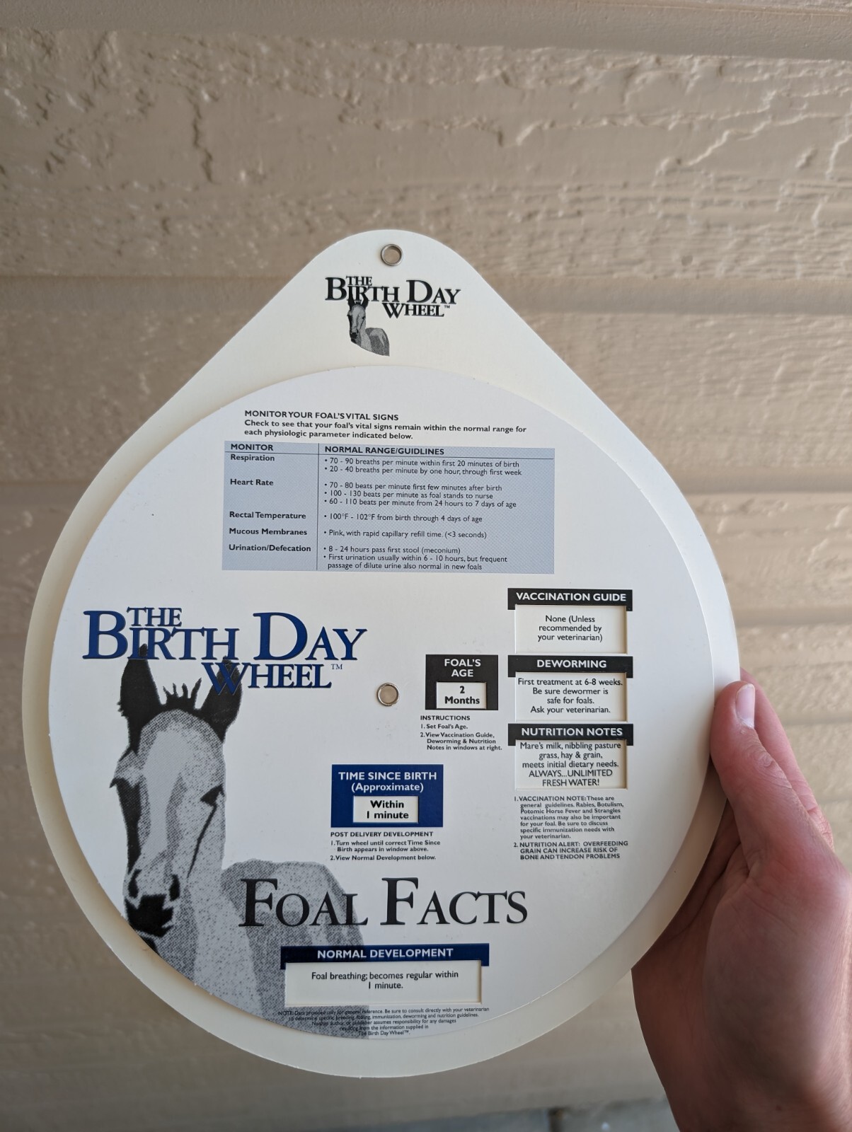 Vintage 1999 Horse Fact Spinner Double Sided The Birth Day Wheel DVM marketing