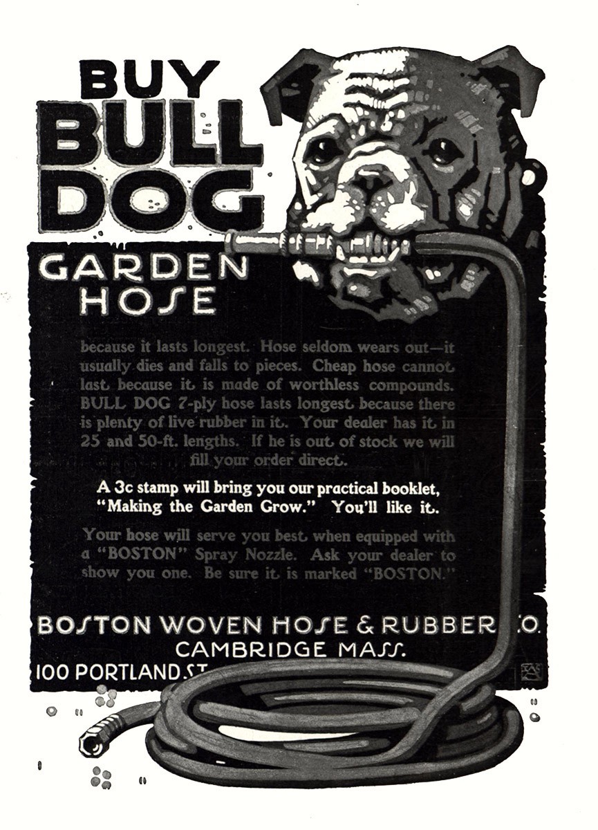 1918 Boston Woven Hose and Rubber: Bull Dog Garden Hose Vintage Print Ad
