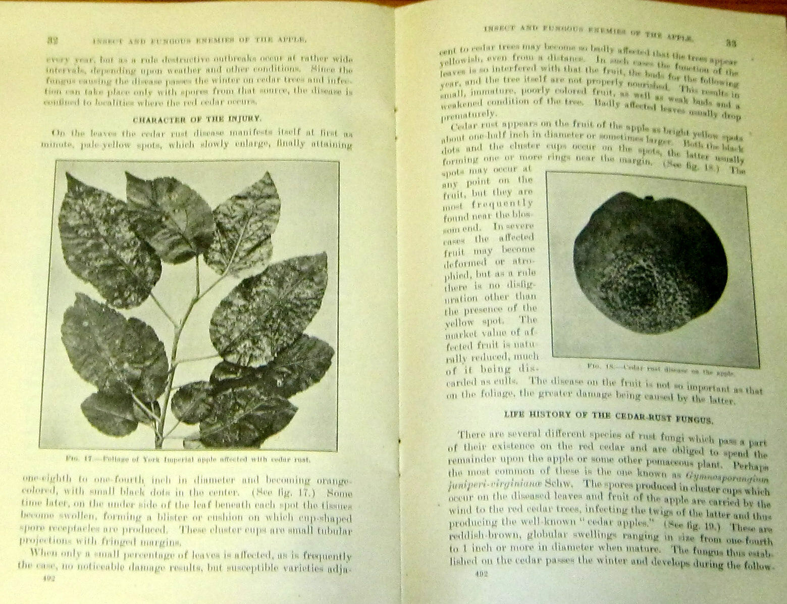 U.S. Department of Agriculture Farmers Bulletins #113 + 440 + 492 1912 –1916