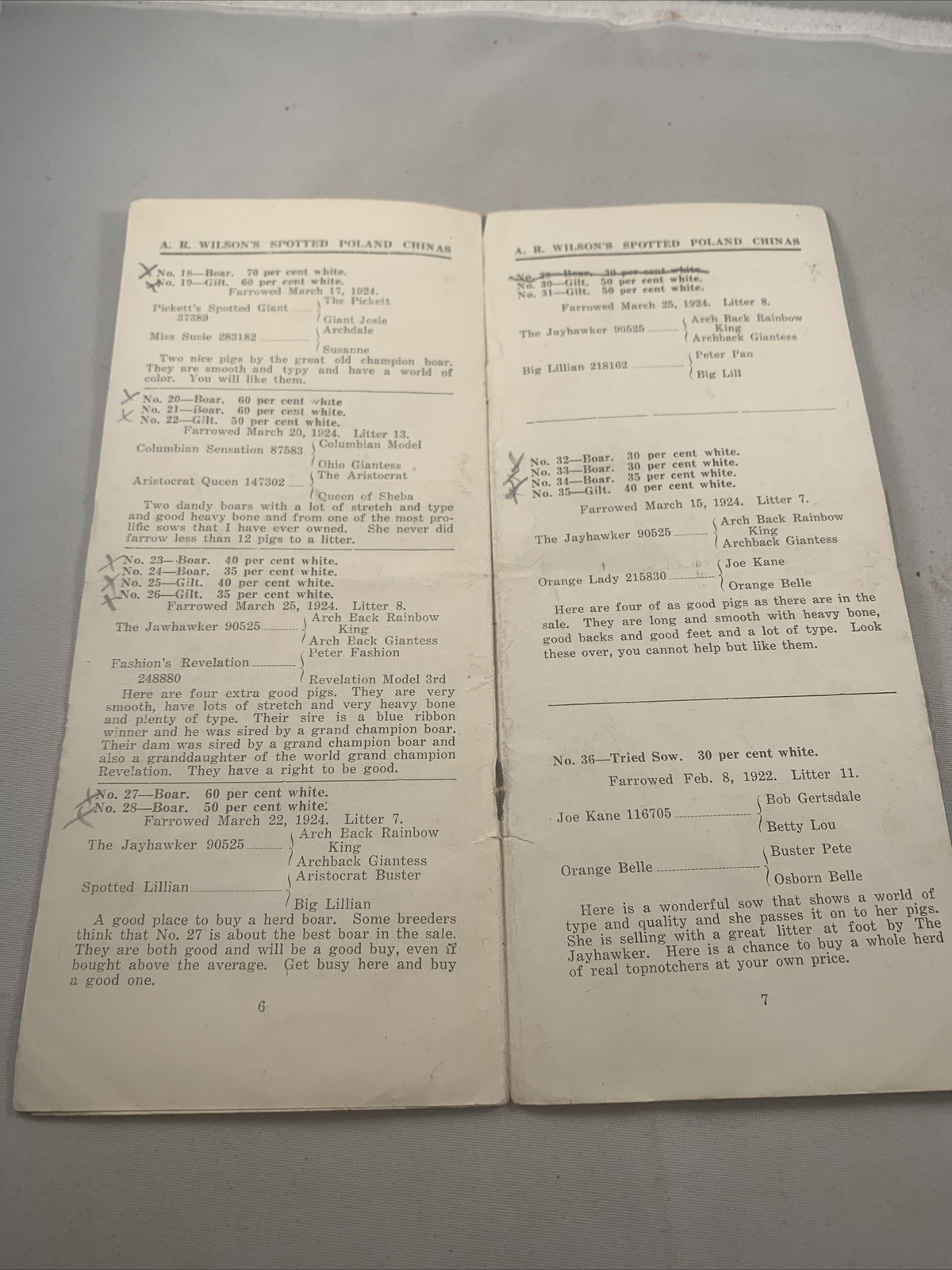 1924 Hog Sale Brochure Wilson’s Prolific Poland China Pig Farm Darlington MO