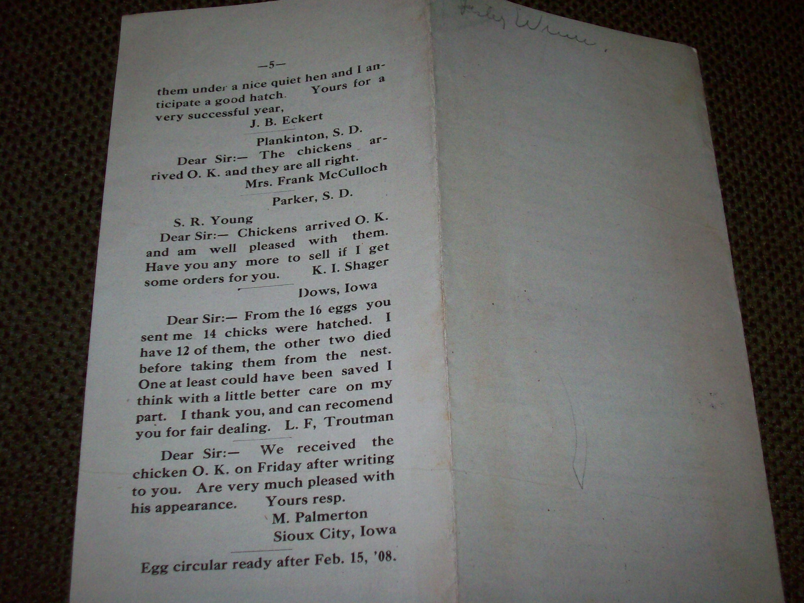 1908 Silver Laced Wyandotte Chicken Advertising Greenville Iowa S.R. Young