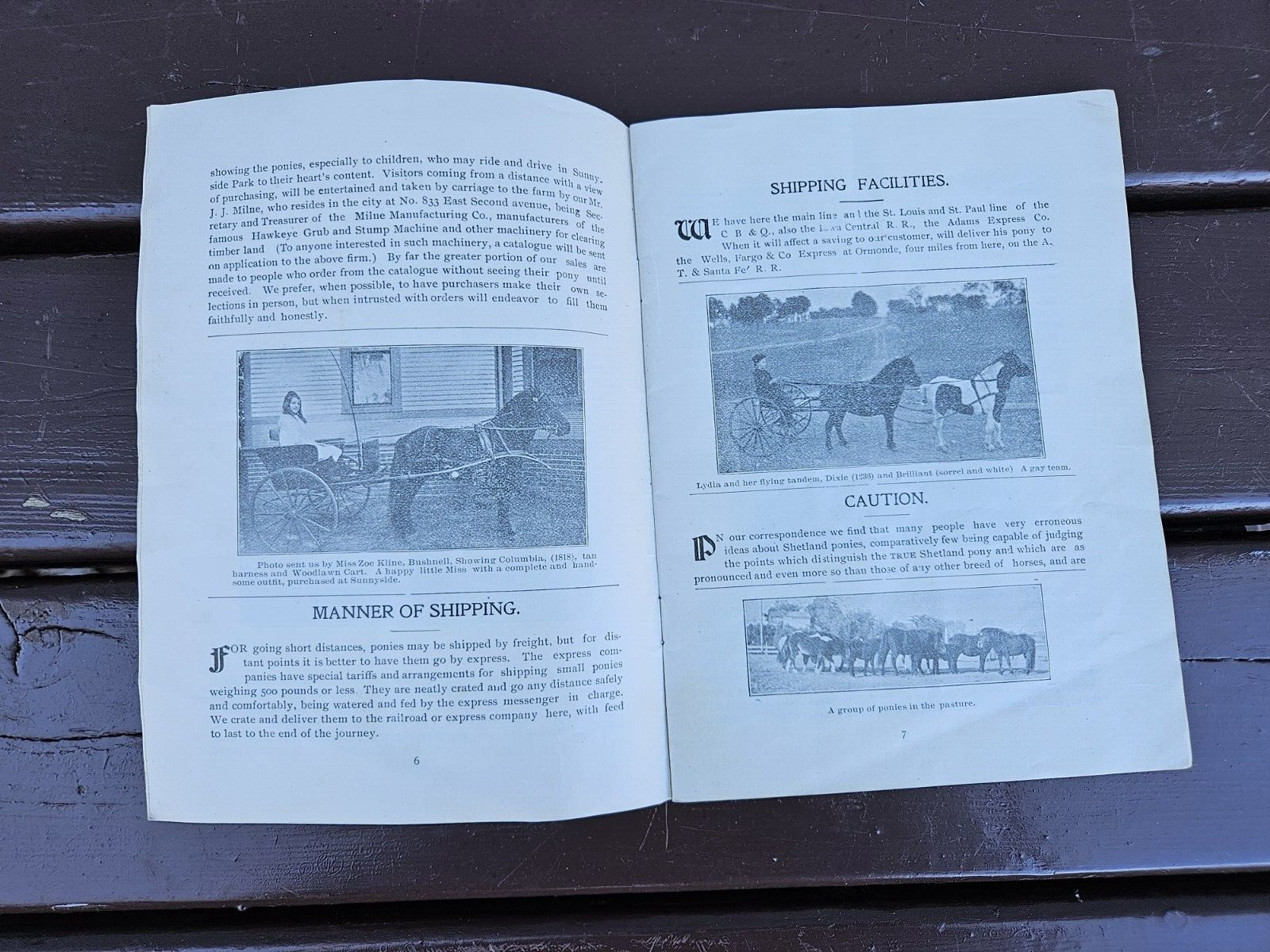 Sunny Side Shetland Pony Farm Catalog & Brochures Monmouth ILL. 1902 +