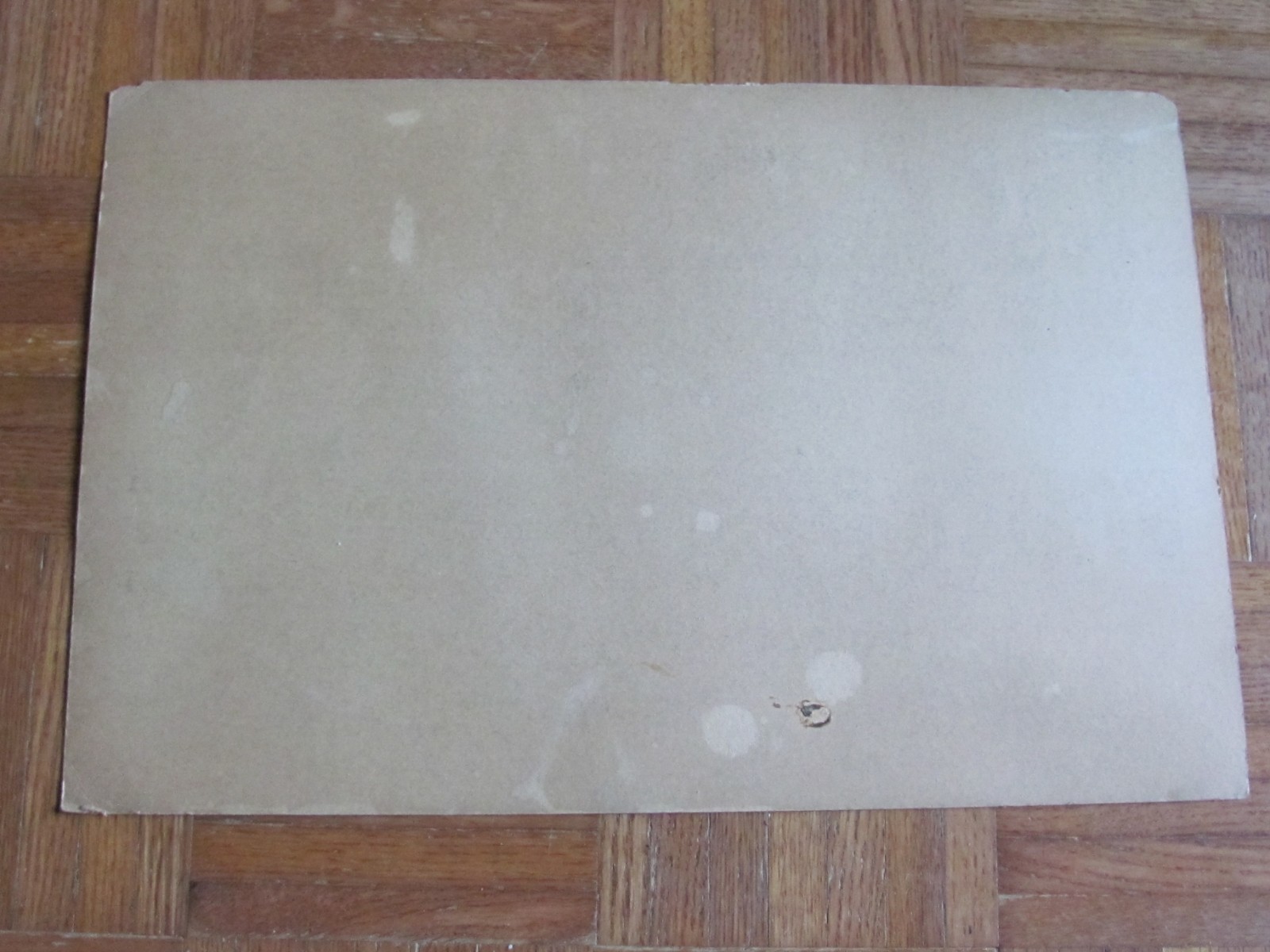 1910&rsquo;S FARM HISTORY CARDBOARD SIGN DR O DYSON STATE VETERINARIAN NO SHIPPING
