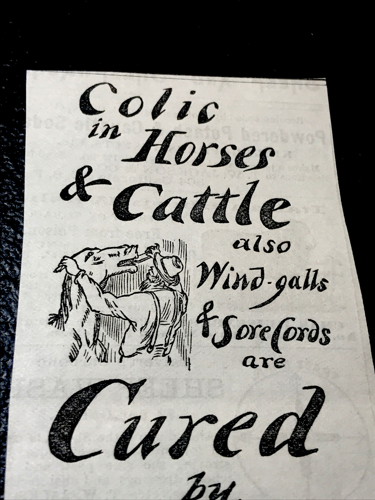 1886 Davis Horse & Cattle Medicine Farm Advertising – Providence- Rhode Island