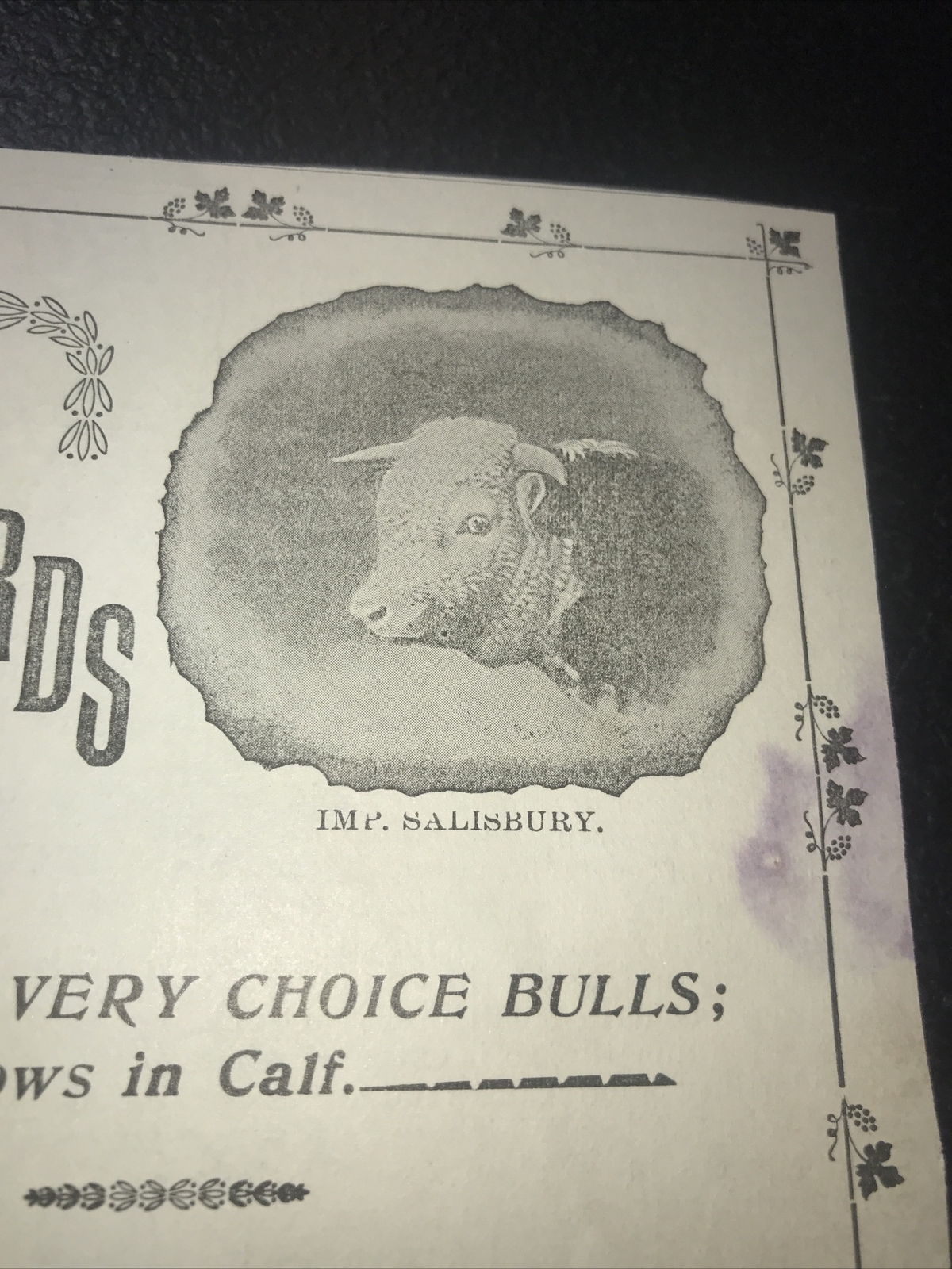 1900 Murray Boocock Hereford Cow Farm Advertising – Keswick – Virginia
