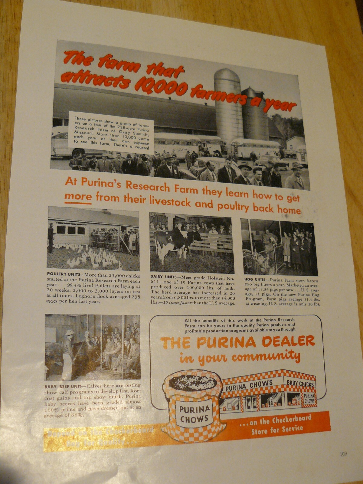 The FARM QUARTERLY-AD- SPRING 1951- PURINA CHOWS – POULTRY DAIRY HOG & BABY BEEF