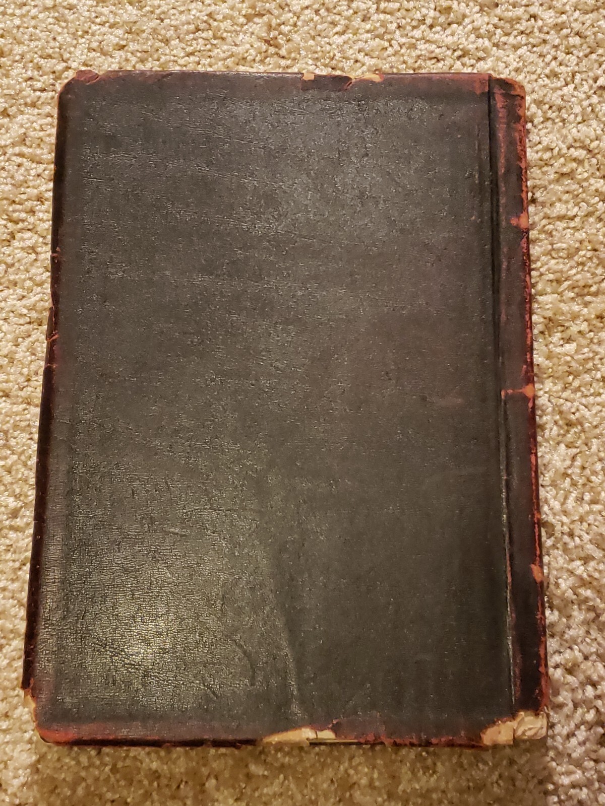 1904 Moline Plow Company Catalog Modern Implements Employee Version