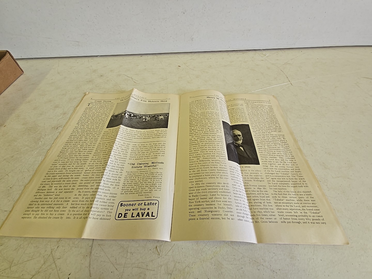 Antique De Laval Seperator Co. Advertising June 1911 De Laval Monthly Vol 5 No 6
