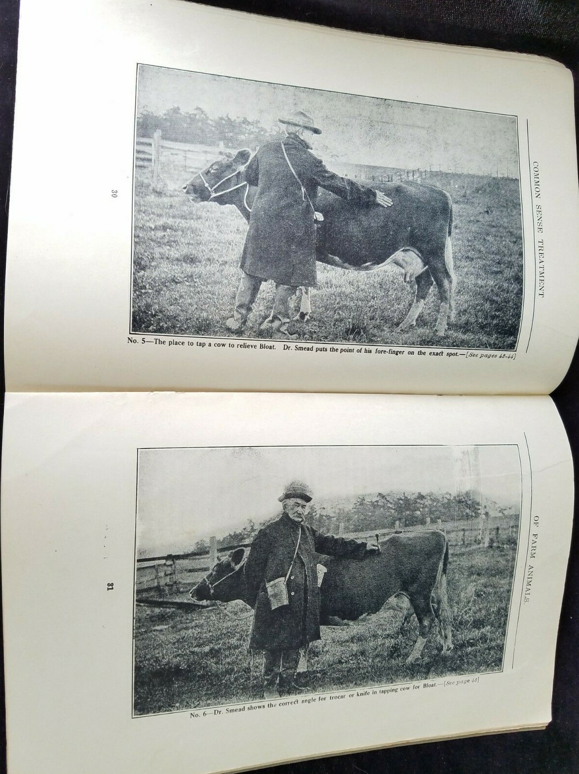 1911 Common Sense Treatment Farm Animals CD Smead National Stockman & Farmer