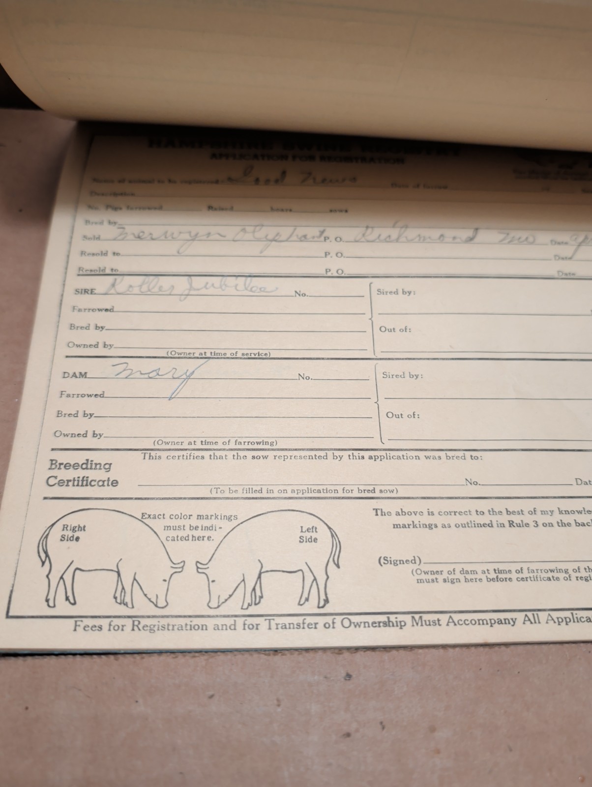 Vintage 1947 1948 Hampshire Swine Registry With Filled In Registars