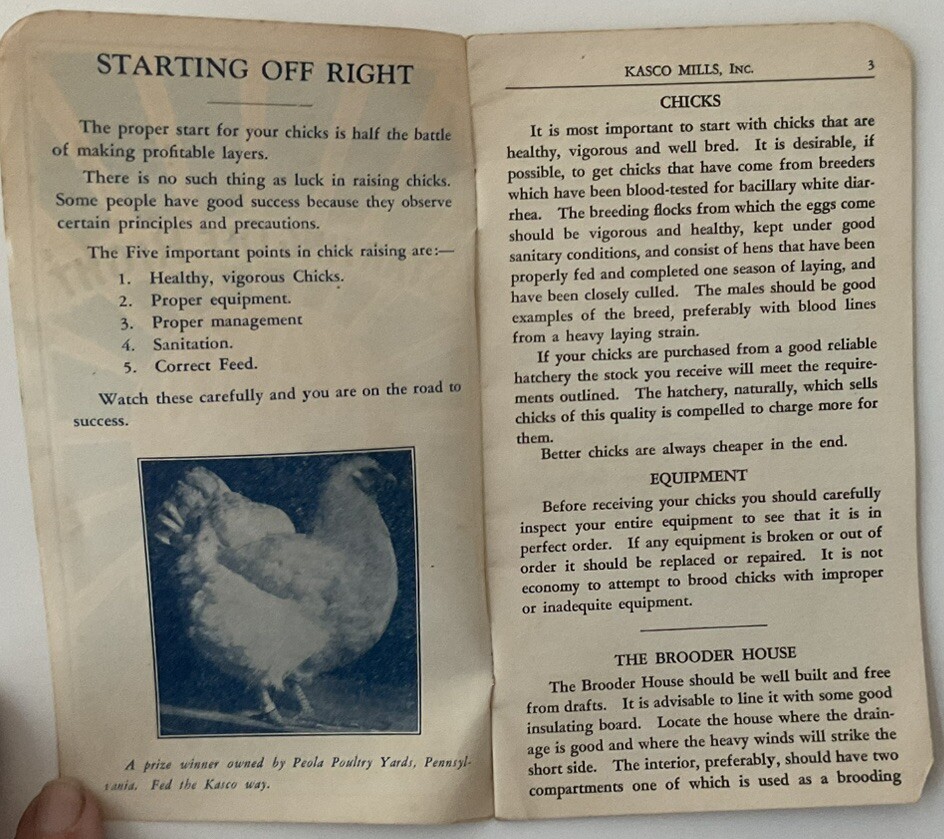 Kasco – “ Starting Off Right” 1932 – 26 Page Booklet About Raising Chicks