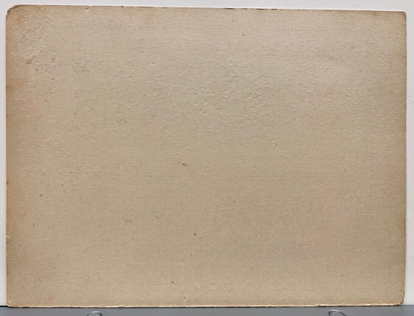 1900s Ridge Agency Poland Chinas Pure Bred Shropshire Sheep Breeder Missouri 2