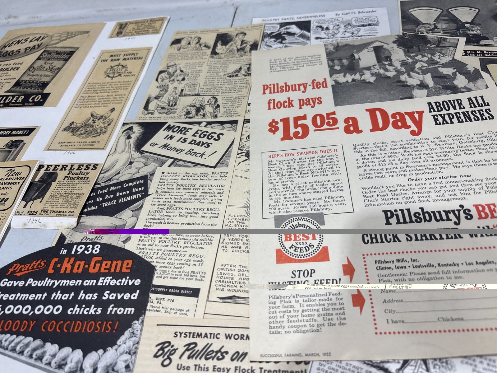 Lot Of 60 Chicken Poultry Egg Related Magazine Print ads 1930-50s