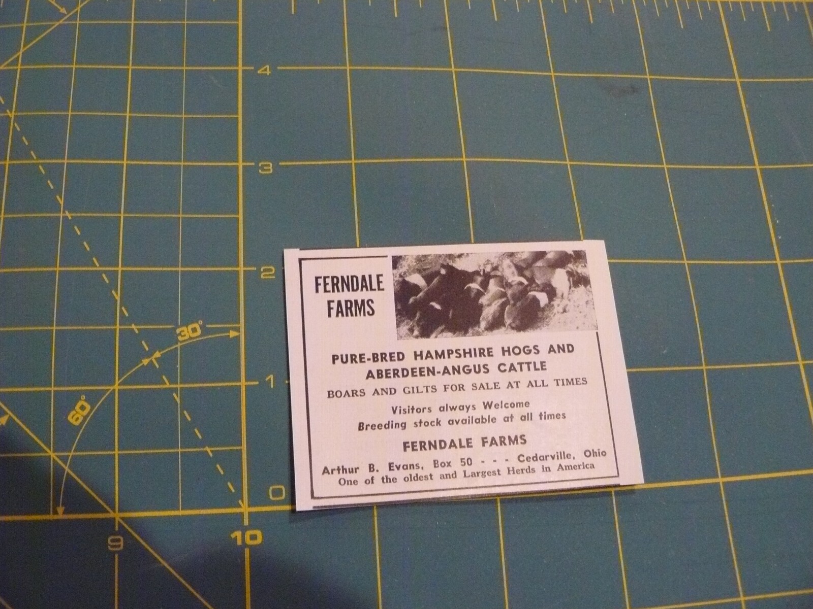 THE FARM QUARTERLY- SPRING 1959-AD- FERNDALE FARMS -HAMPSHIRE HOGS/ ANGUS CATTLE