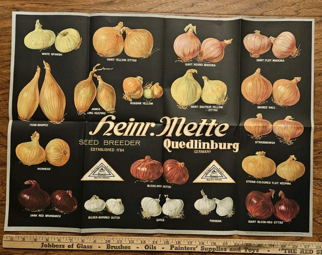 1900&rsquo;s to 1930&rsquo;s 27 Heirloom Onion Seed Grower Heinrich Mette Poster 27&Prime; x 20&Prime;