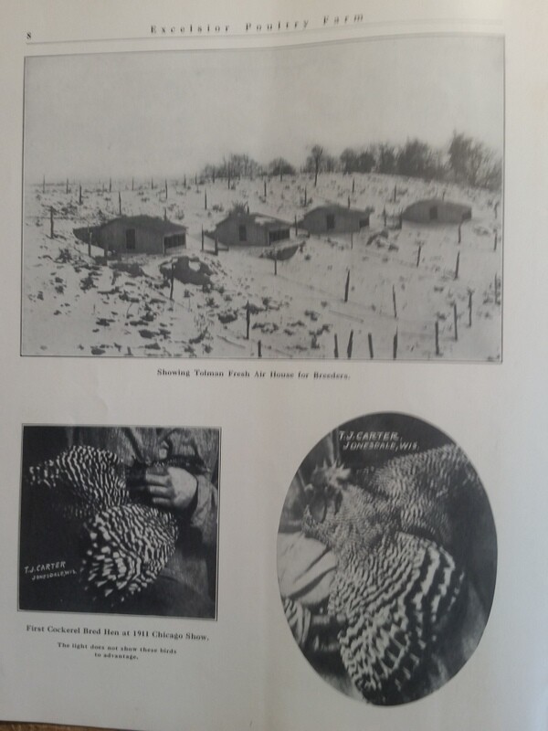 1911 Excelsior Poultry Farm T Carter Jonesdale WI Mineral Point Dodgeville Area