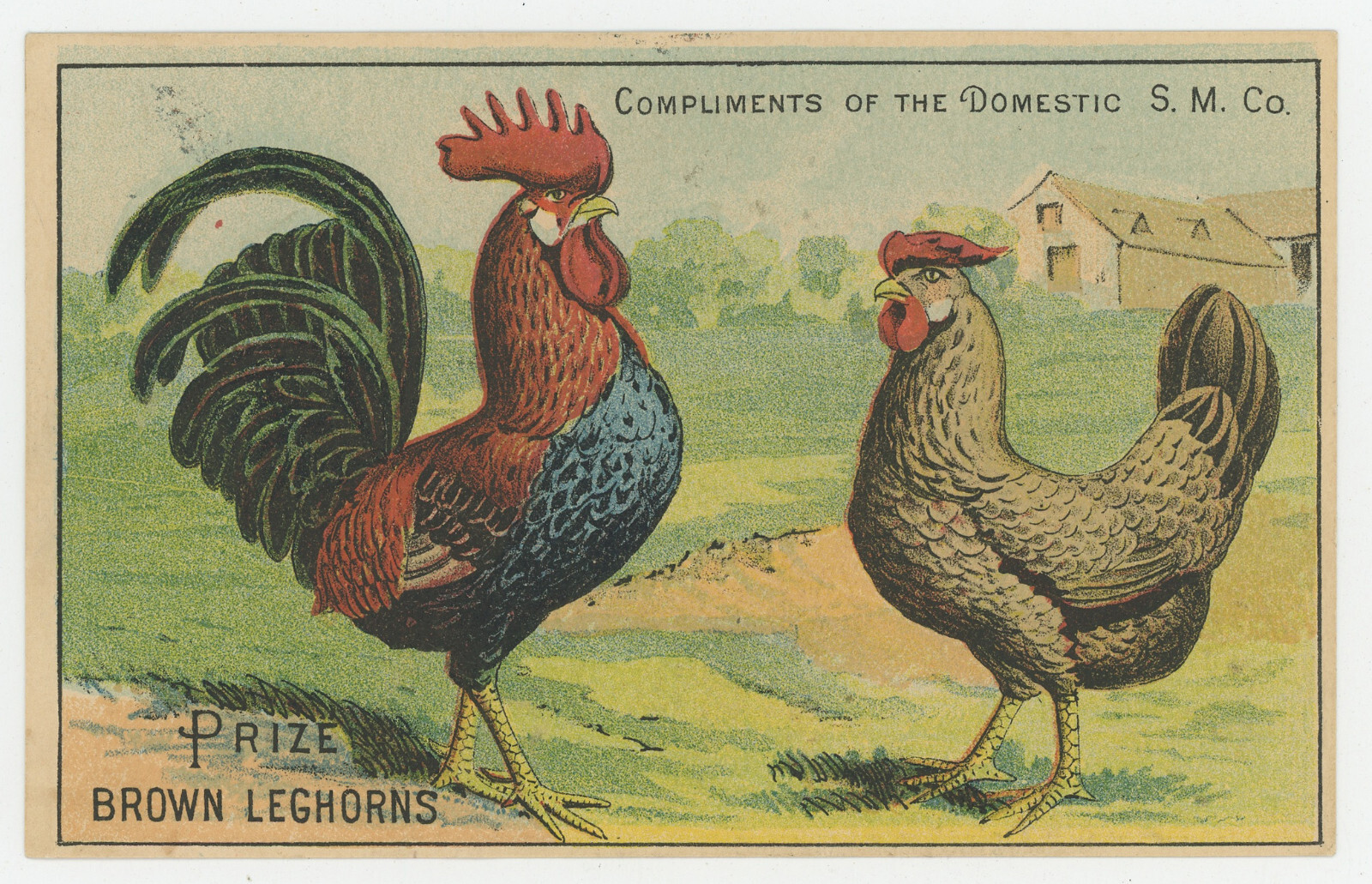Prize Leghorns Rooster 1880&rsquo;s Trade Card