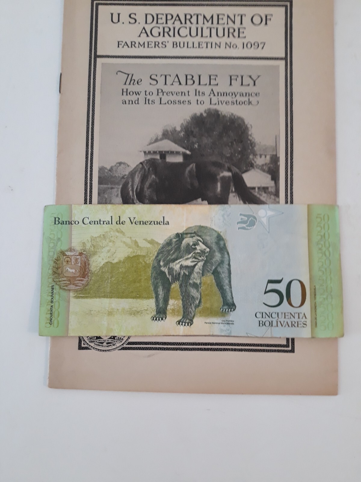 Vtg Farmers Bulletin US Dept of Agriculture No 1097 The Stable Fly Pest 1931 jj