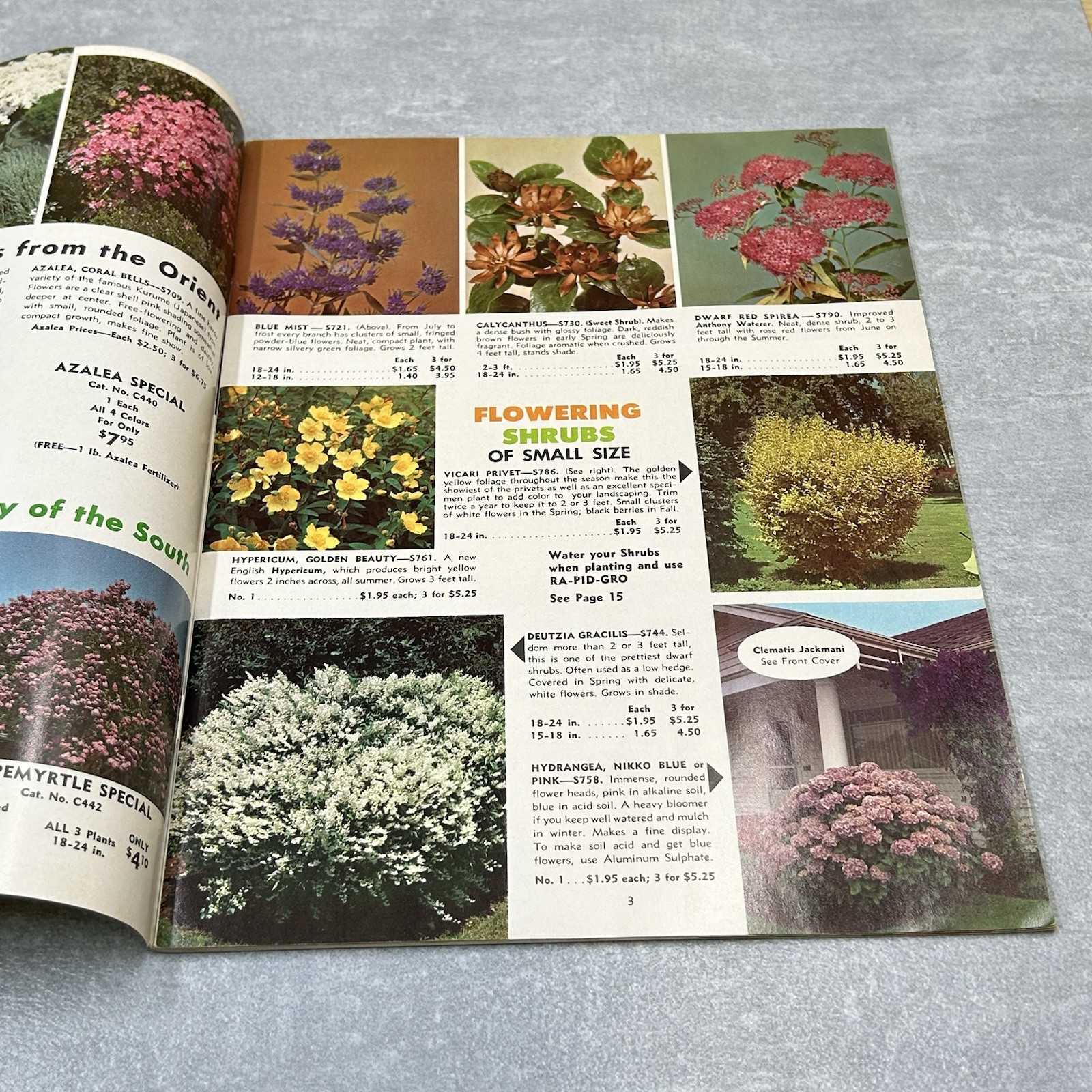 Vintage 1967 Neosho Nurseries Catalog Flowers Plants Fruit Tress Missouri