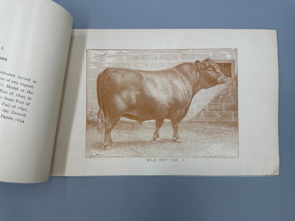 1892 RED POLLED CATTLE Farm Advertising Illustrated HERD BOOK Delaware Ohio