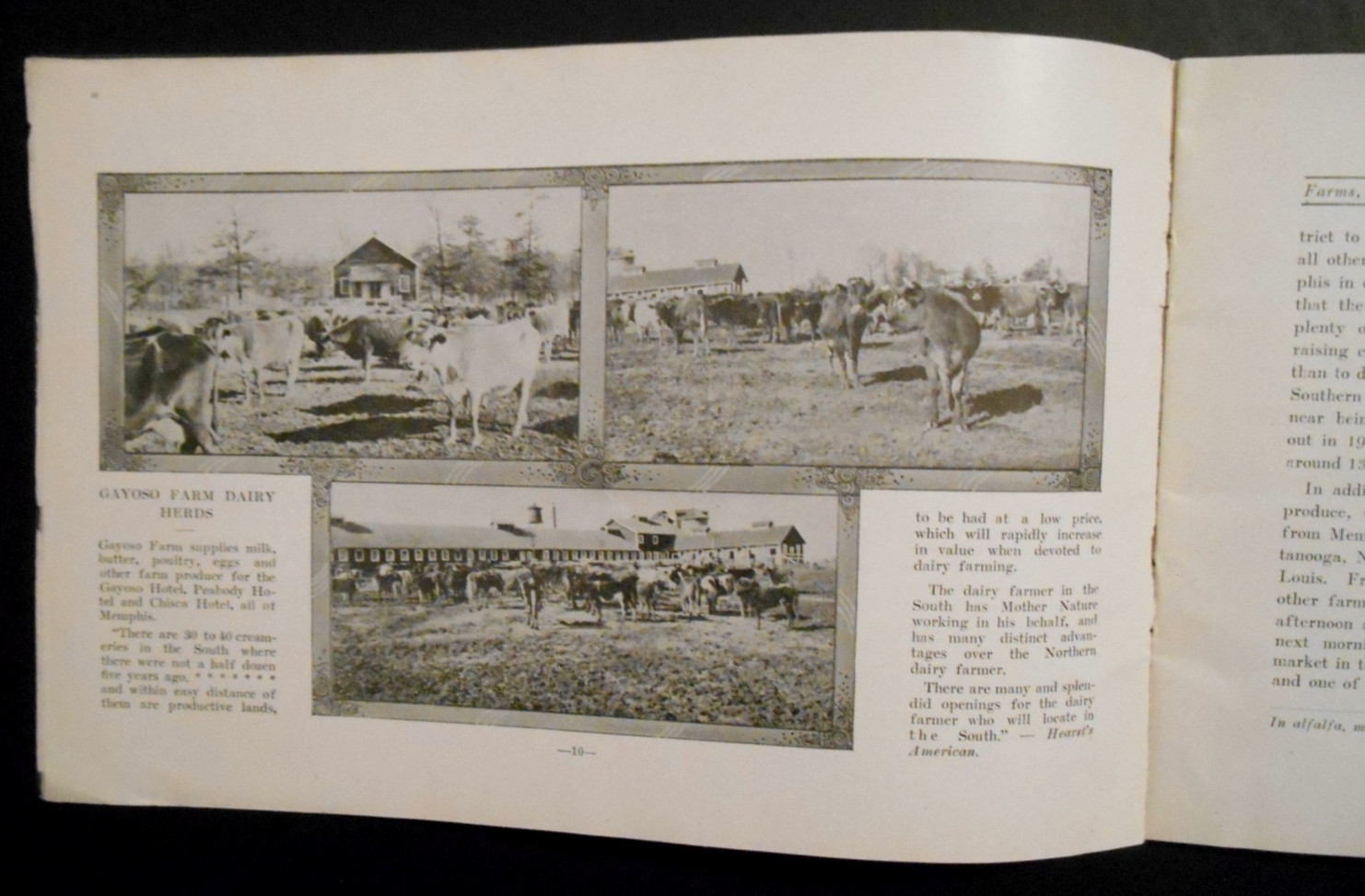 Erly 1900s Farming In The Great Memphis District Tennessee Booklet Martin & Cole