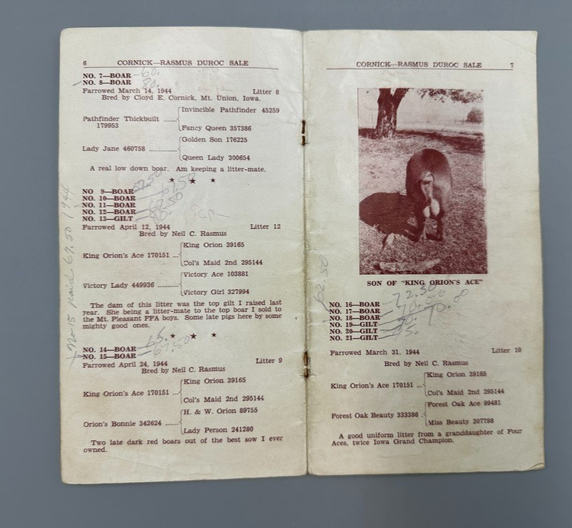 1944 DUROC BOAR Gilt PIG SWINE Sale AUCTION Brochure MT UNION IOWA Vintage Farm