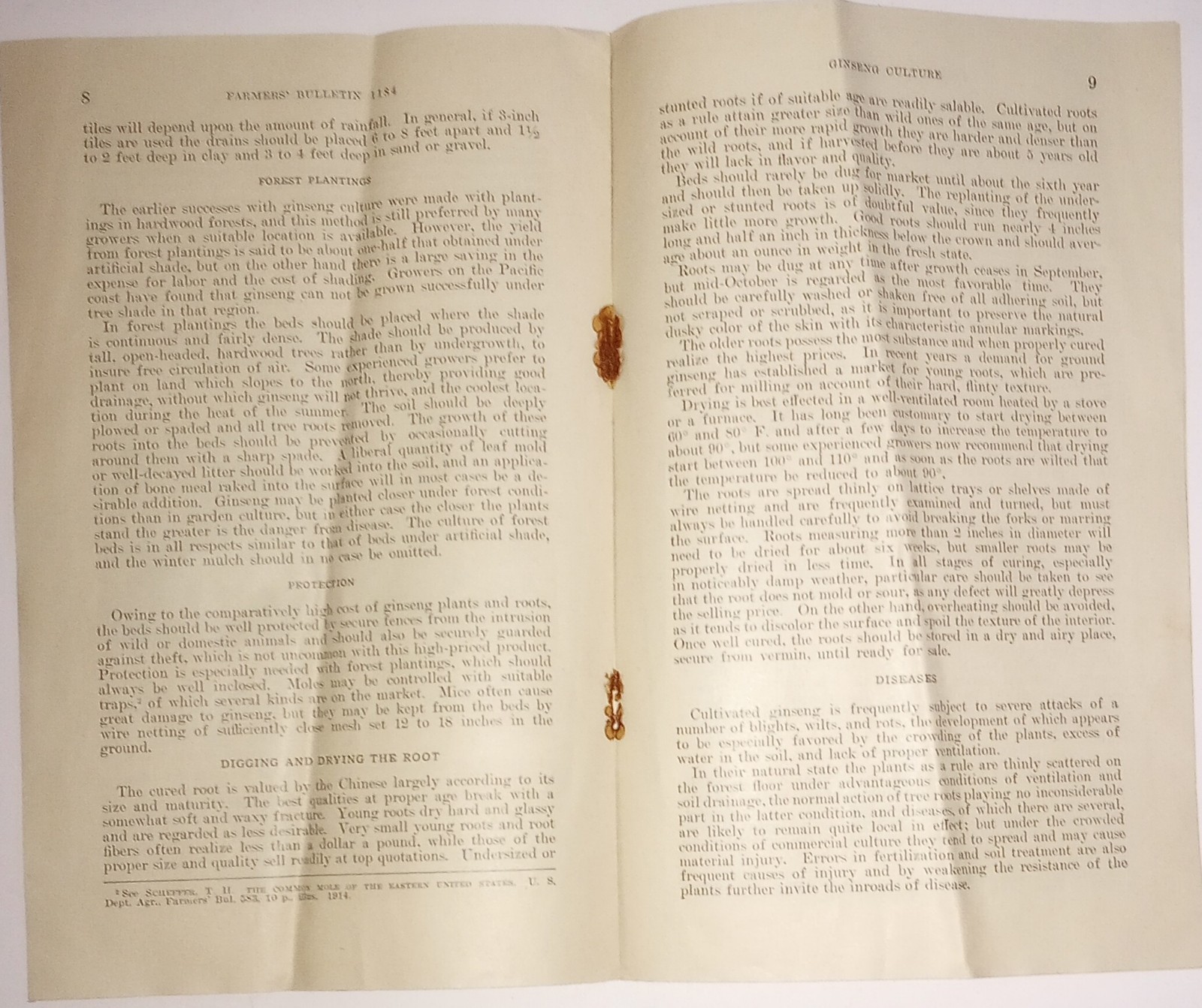 1933 Department Of Agriculture Farmers Bulletin #1184 Ginseng Culture Original