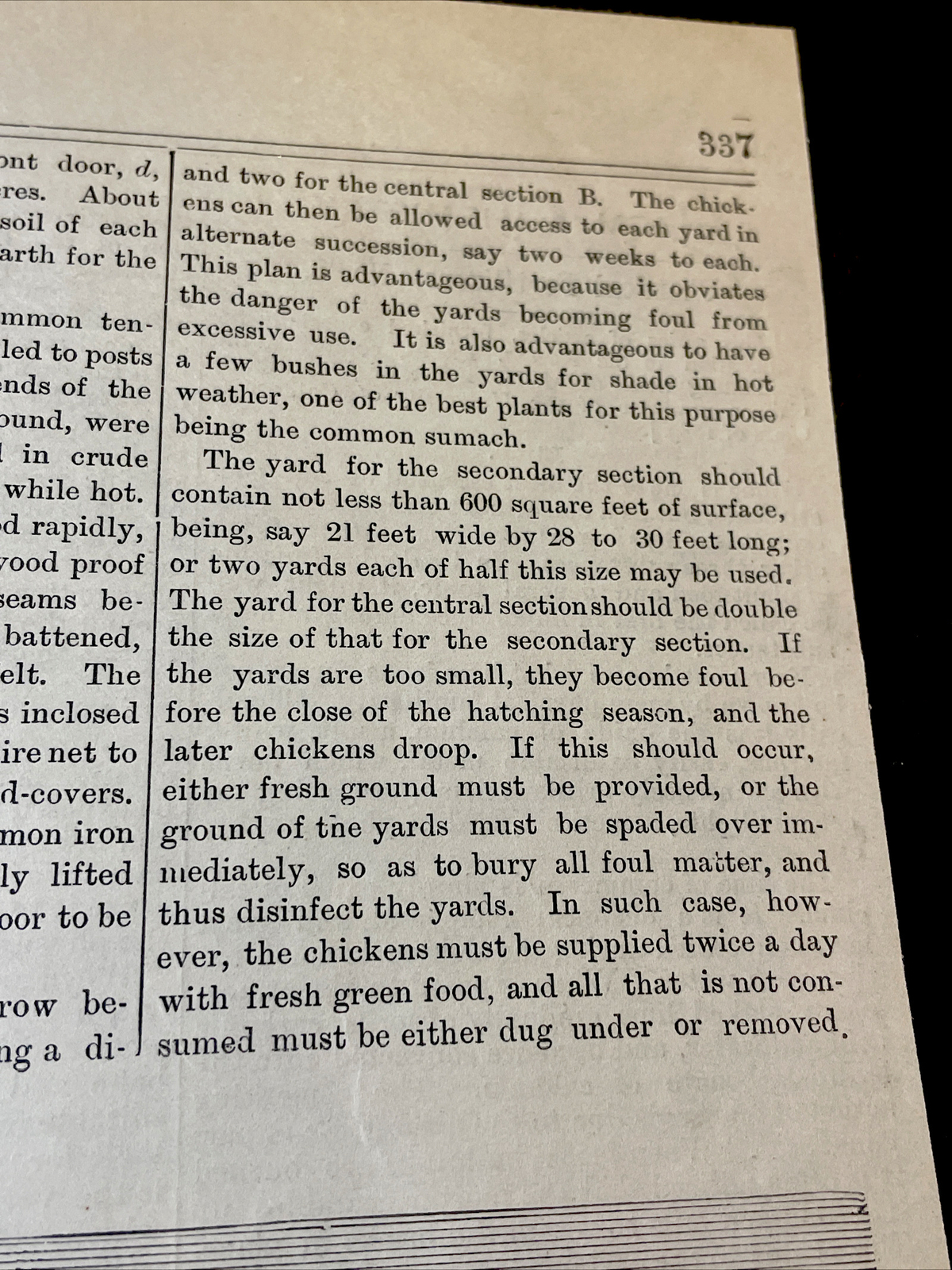 1883 Renwick’s Chicken Nursery Farm Advertising Engraving & Article – 10×15