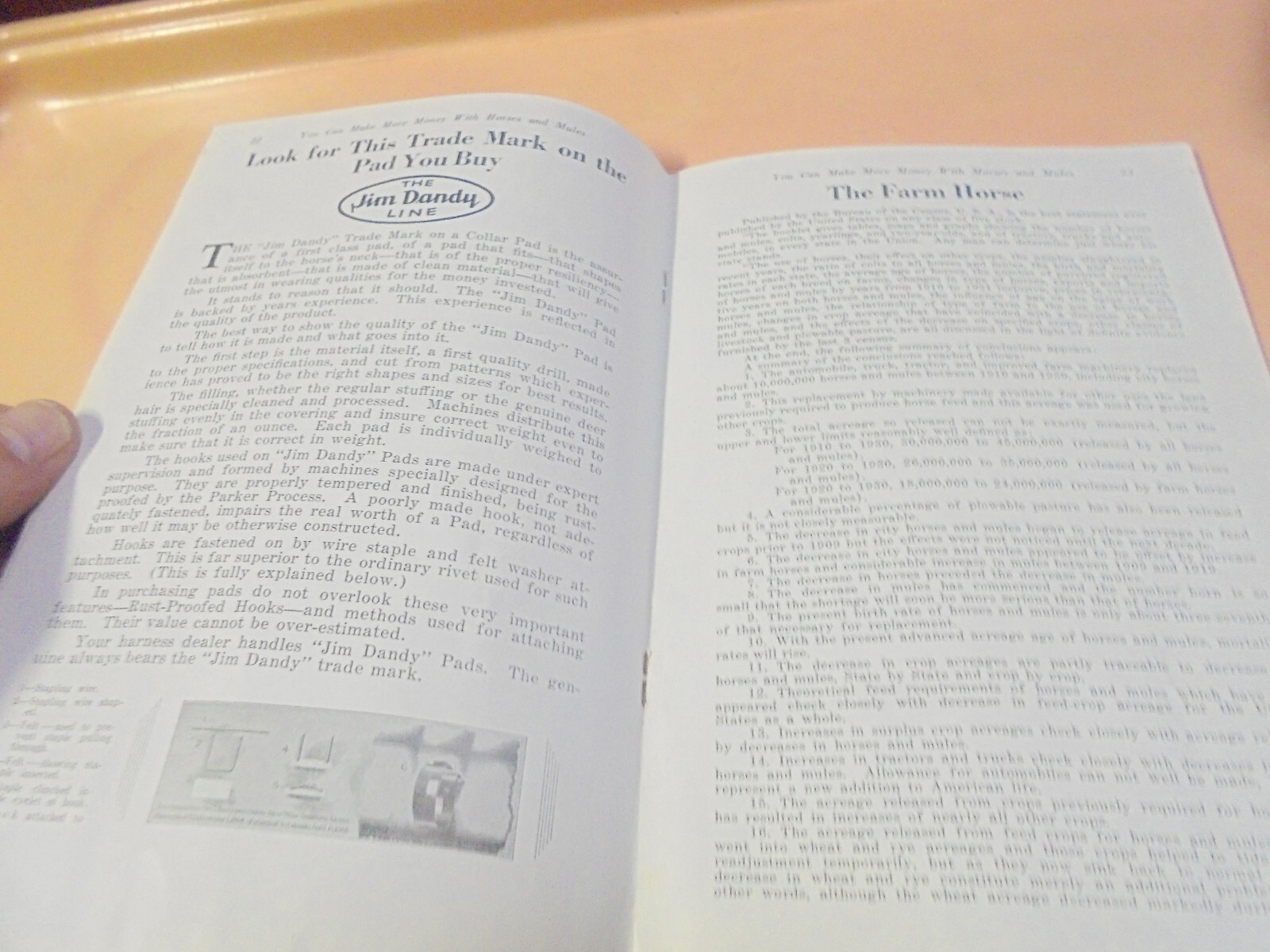 Vintage Booklet You can make more money with horse and mules The Jim Dandy Line