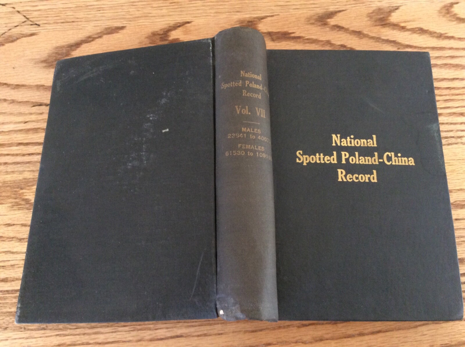1920 National Spotted Poland-China Record Book #7 Pig Black Swine FAMILY INSIDE?