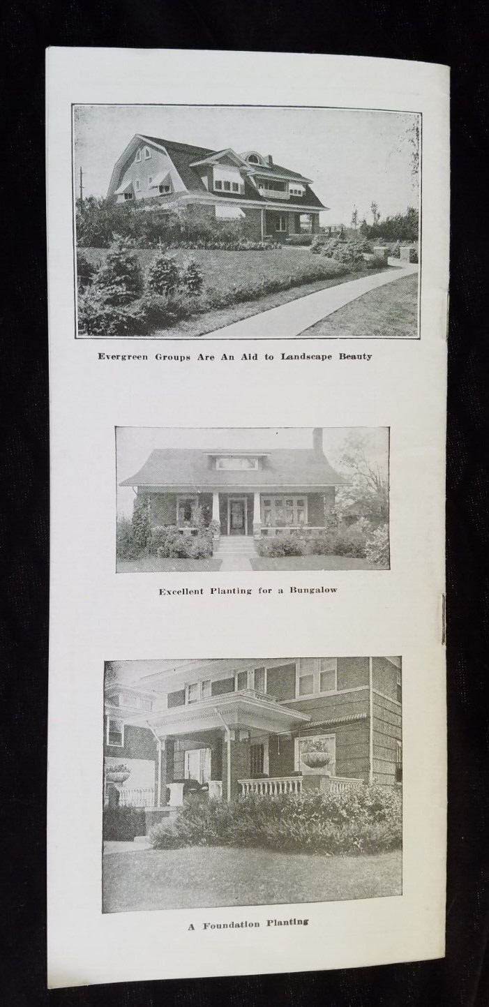 Old Advertising Catalog Page Valley Nurseries Kimball VA Bolen Trees Roses Shrub