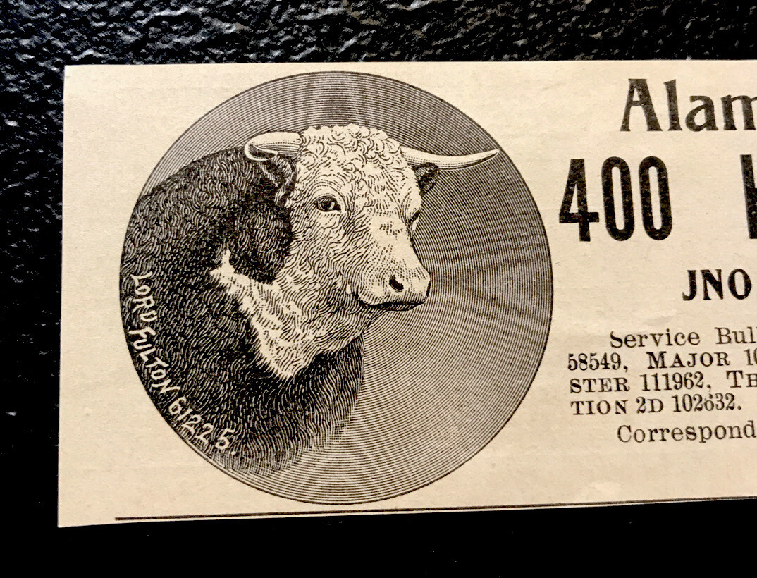 1902 Alamo Stock Farm Cattle Cow Advertising – Reno – Nevada