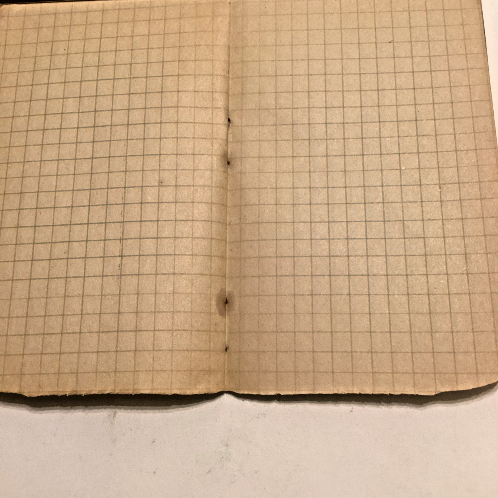 1933-34 ARMOUR FERTILIZER WORKS NOTEBOOK