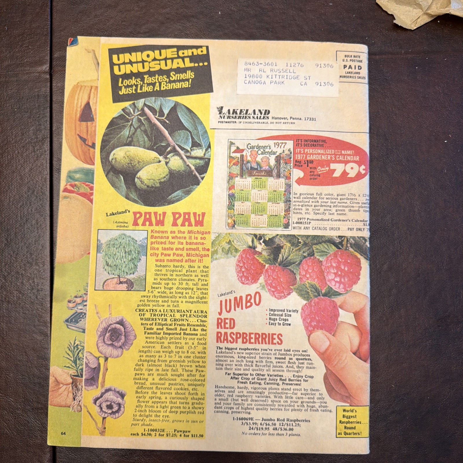 Vintage Lakeland Nurseries 1977 Sales Brochure
