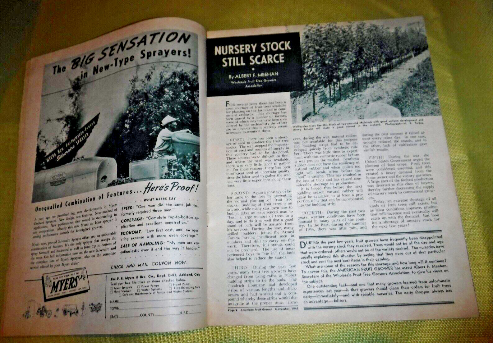 AMERICAN FRUIT GROWER NOV. 1945 MAGAZINE MICHIGAN CULTIVATED BLUEBERRY INDUSTRY