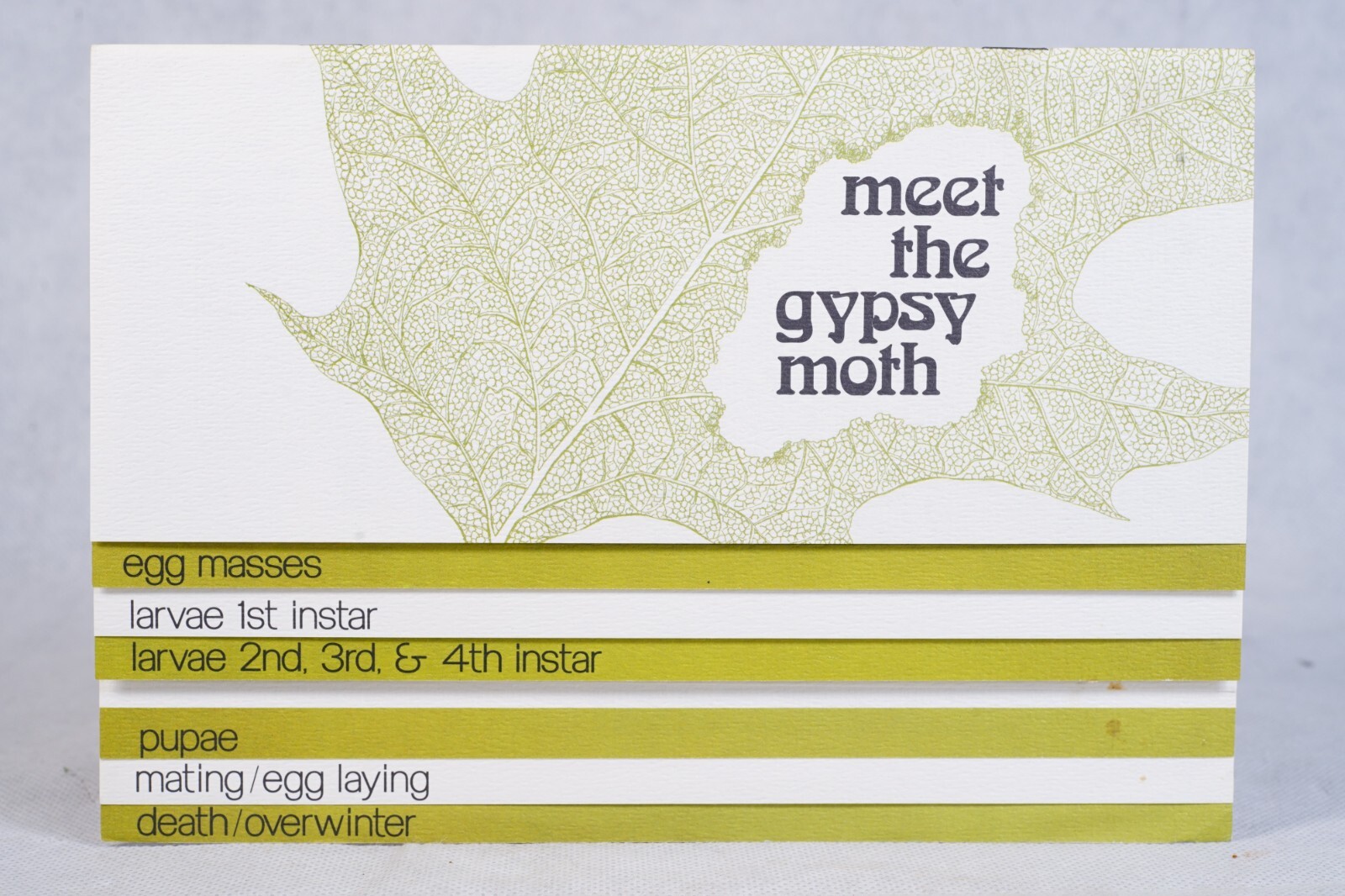 PA Vintage Agricultural Brochure Meet Gypsy Moth R.T. Zerillo and J.D. Podgwaite