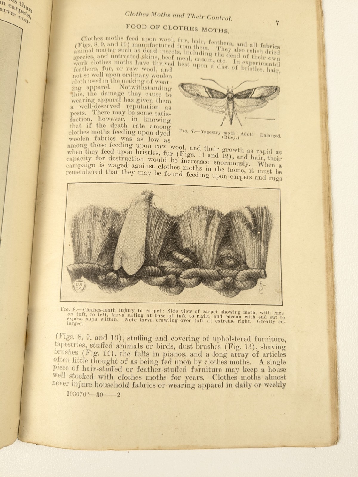 1928 – US Department of Agriculture Farmers Bulletin no. 1353 Cloths Moths – B23