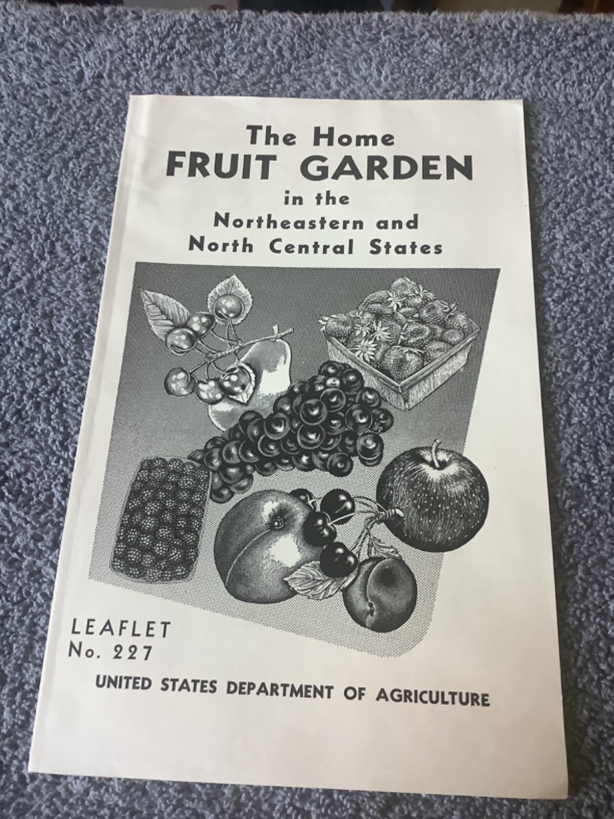 1952 USDA Leaflet #227 The Home Fruit Garden Northeastern North Central States