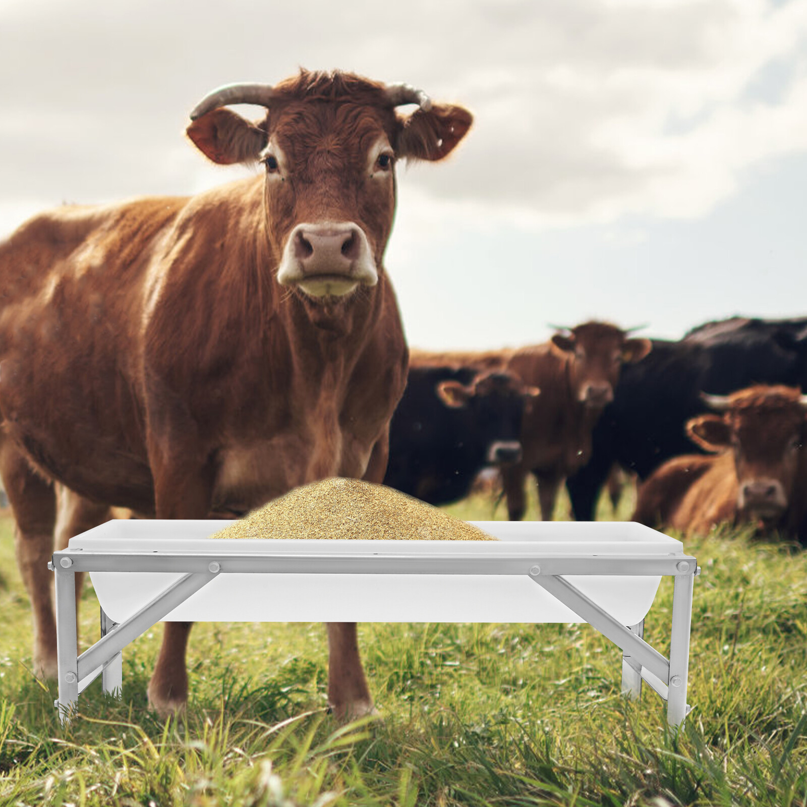 Large Capacity Livestock Feed Trough Long Feeder Feed Trough with Stand SALE