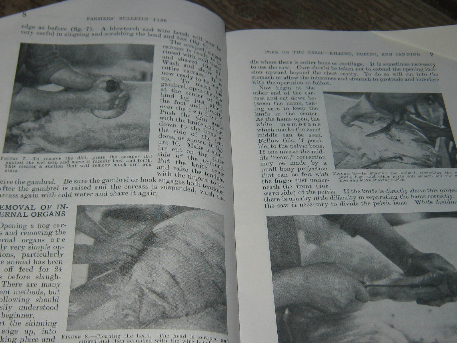 1949 US Agriculture Farmer&rsquo;s Bulletin Pork On The Farm Killing Curing & Canning