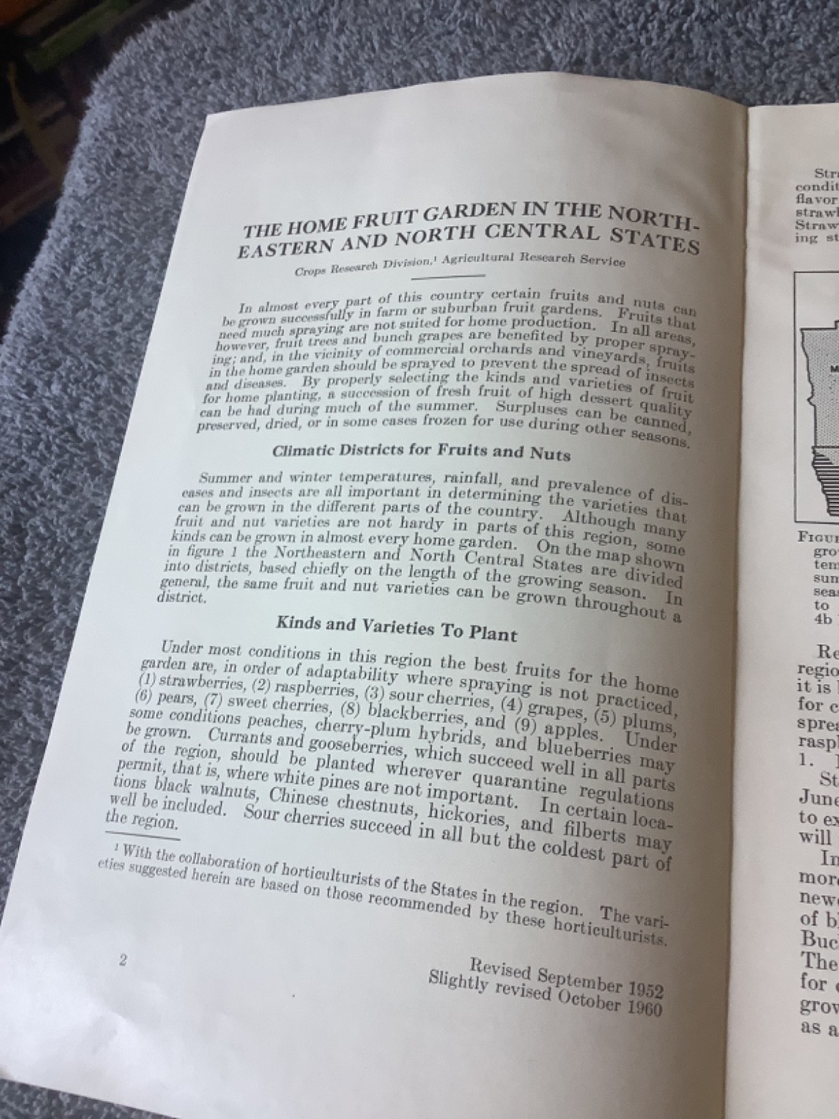 1952 USDA Leaflet #227 The Home Fruit Garden Northeastern North Central States