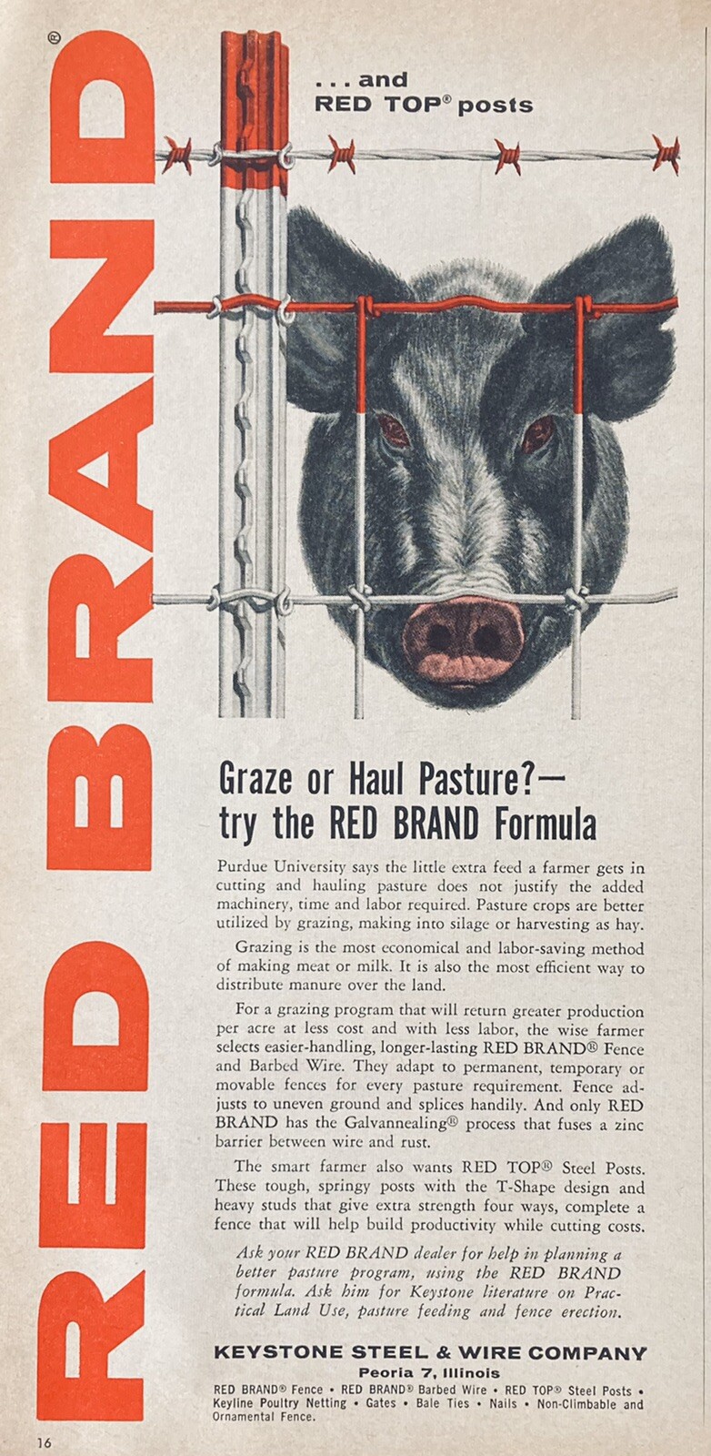 1956 AD.(XH42)~KEYSTONE STEEL & WIRE CO. PEORIA, ILL. RED BRAND FARM FENCING