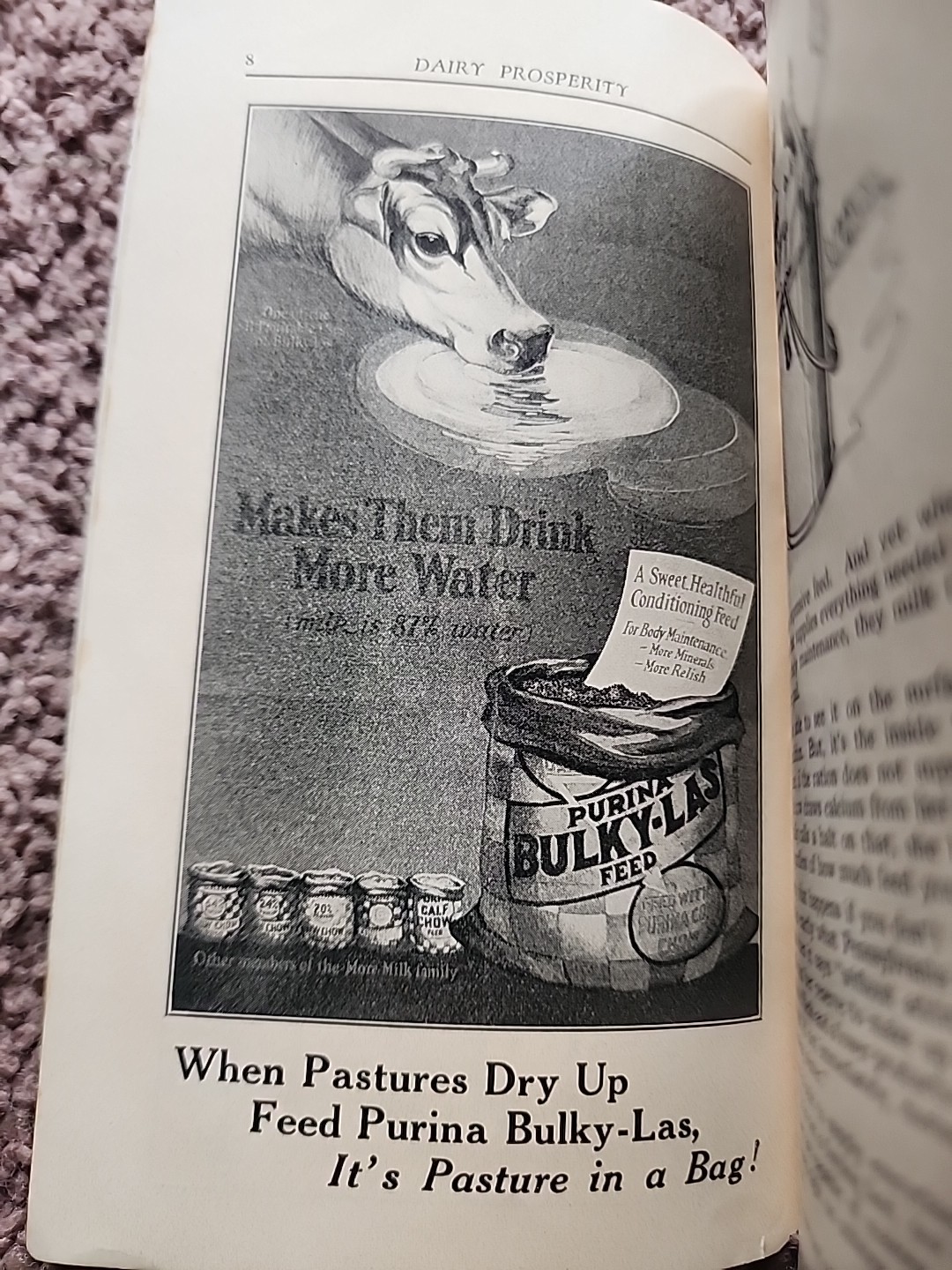 Vintage 1929 Dairy Prosperity Book By Purina And 1948 MILK Bacteria Flyer