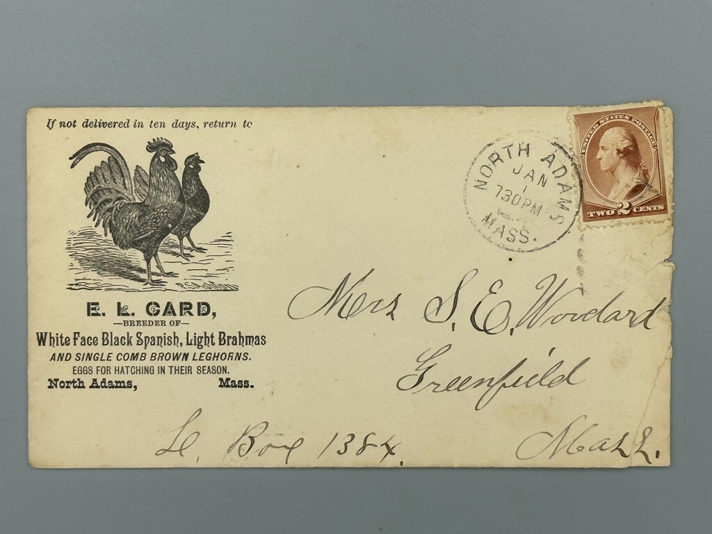 Antique CHICKEN Card LEGHORNS Brahmas Illustrated FARM Advertising POSTAL COVER