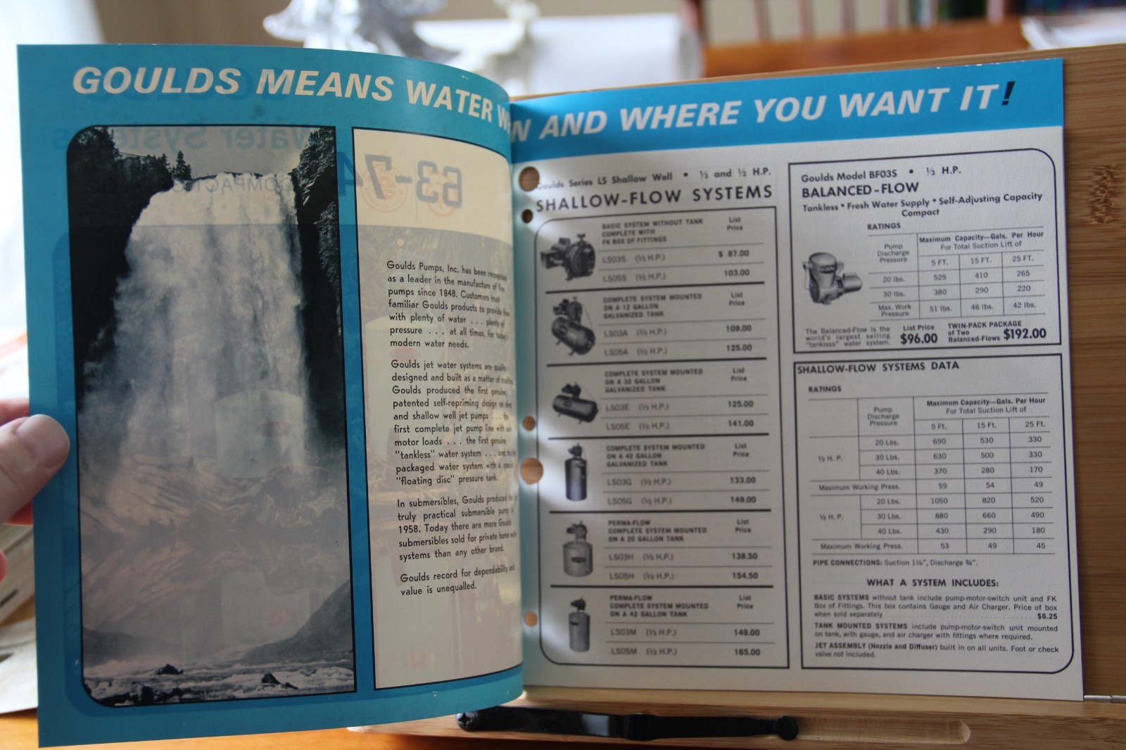 Brochure Catalog Goulds Water Solutions Pumps Seneca Falls New York NY